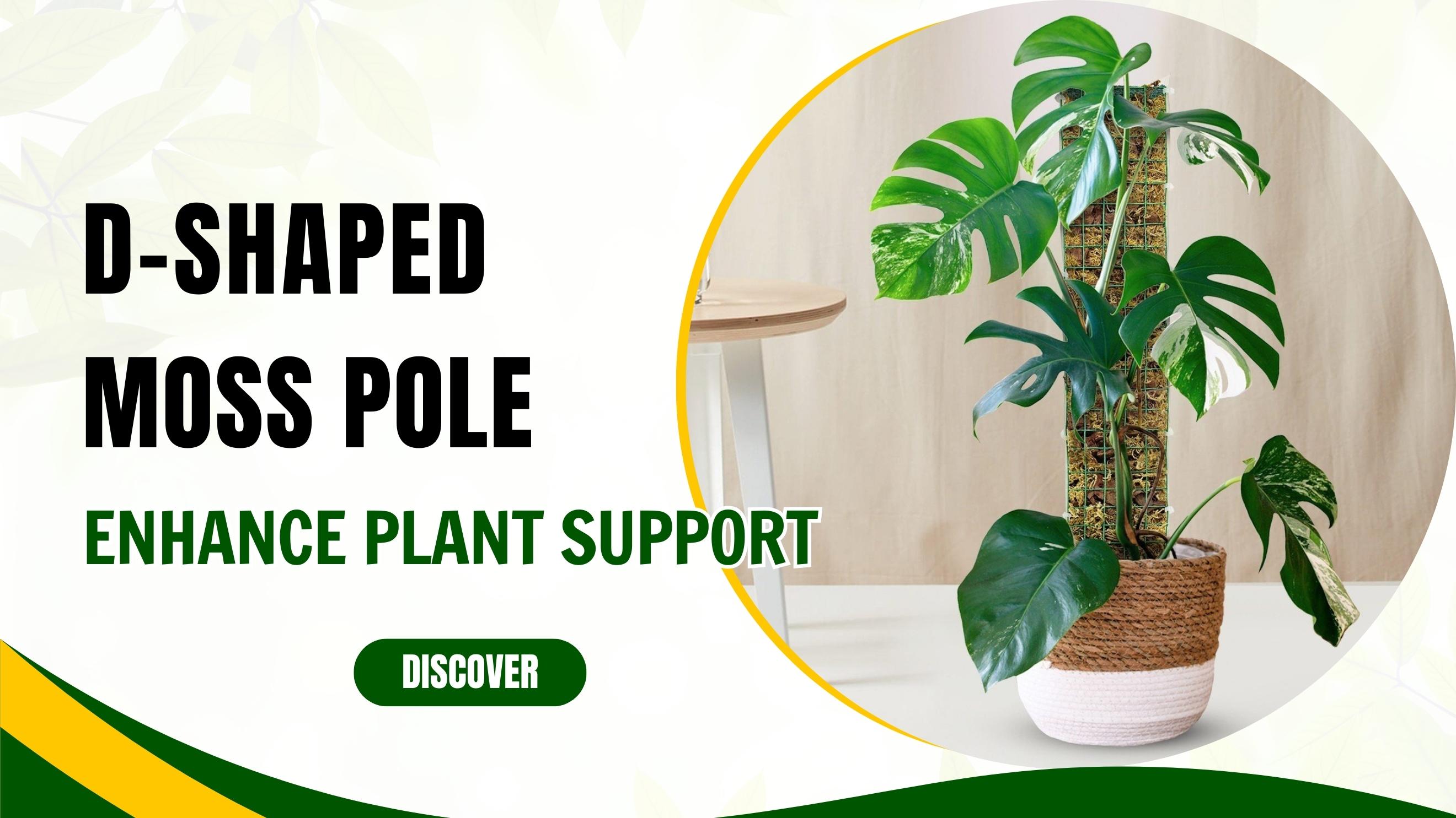 Amazon.com : DUSPRO D-Shaped Plastic Moss Poles for Climbing